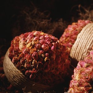 遼陽市攝影有限責任公司