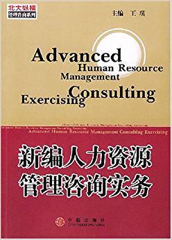 新編人力資源管理咨詢實務