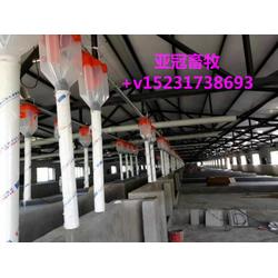 河北機(jī)械自動(dòng)化設(shè)備批發(fā) 機(jī)械自動(dòng)化設(shè)備供應(yīng) 機(jī)械自動(dòng)化設(shè)備廠家 