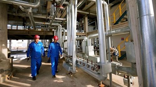中國石油全鏈發力攢 底氣 精準施策助 冬供
