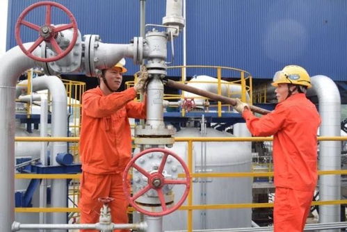 10個月 中國石化涪陵lng工廠投產運行紀實